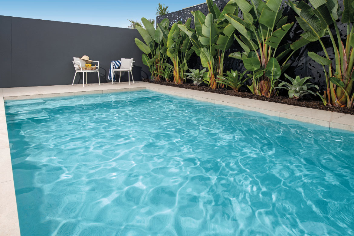A view of a clean, modern yard with an inviting pool and large green plants.