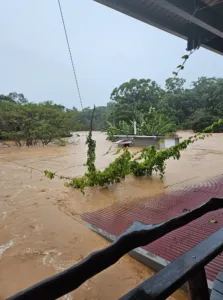 Image showing widespread flooding due to Tropical Cyclone Jasper in Queensland's North